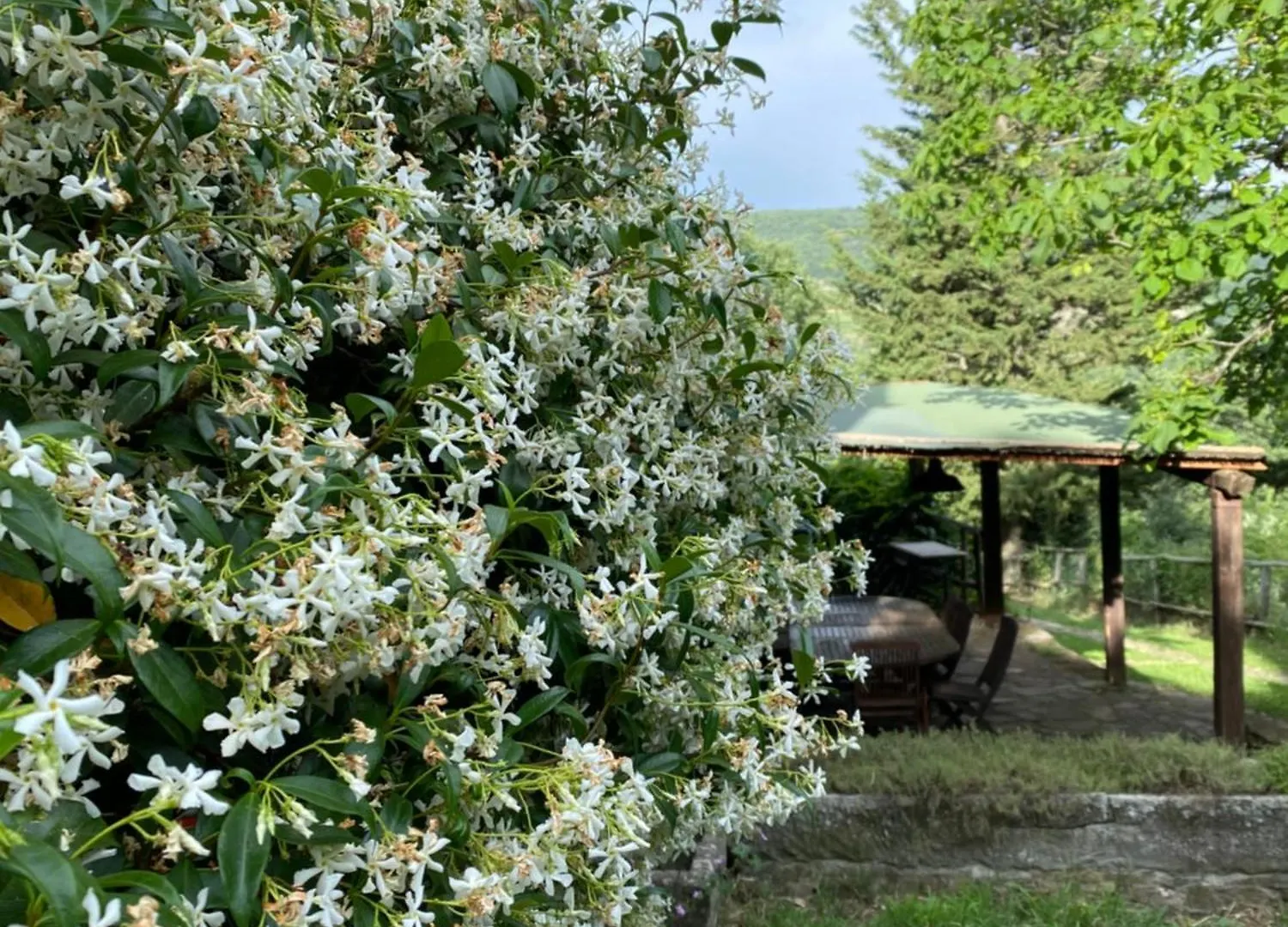 Villa Casa Al Monte Greve in Chianti Italy